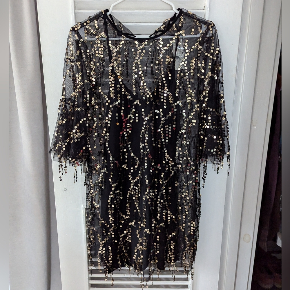 Black and Gold Sparkle Fringe Sheer Dress with Slip